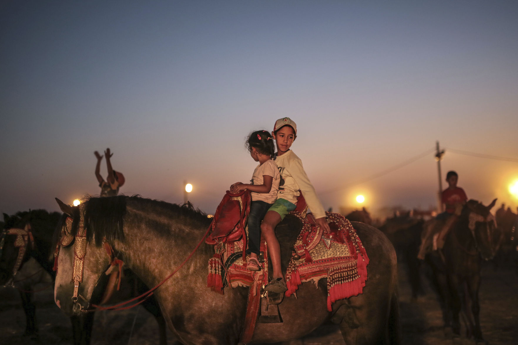Morocco equine tradition